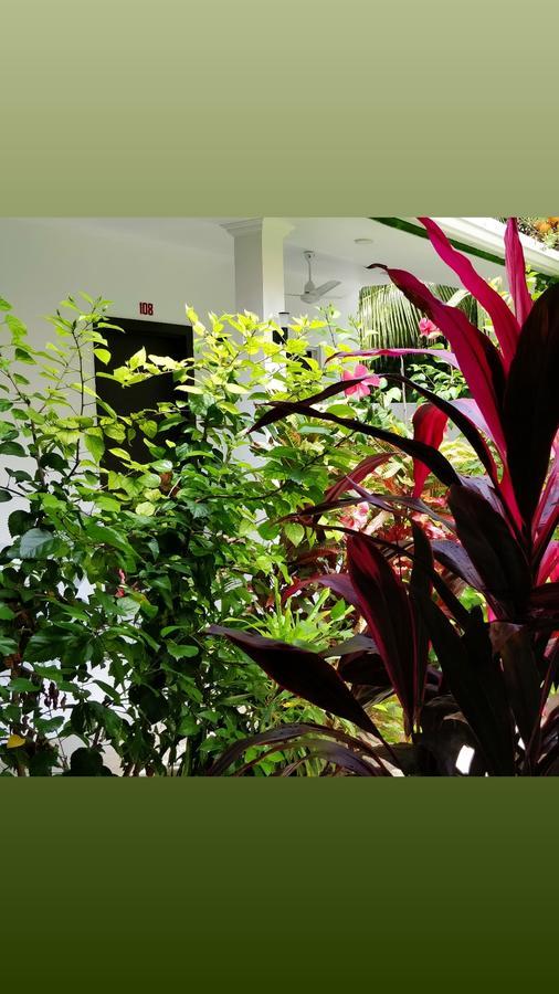 Athiriveli Hotel Thoddoo Ngoại thất bức ảnh