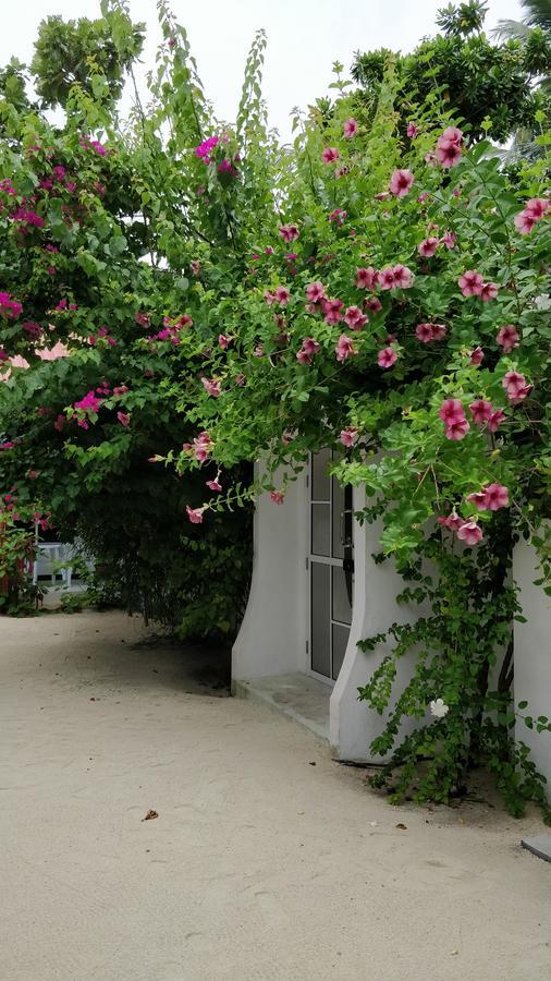 Athiriveli Hotel Thoddoo Ngoại thất bức ảnh