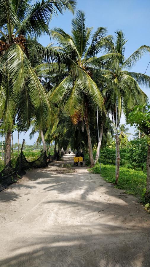 Athiriveli Hotel Thoddoo Ngoại thất bức ảnh